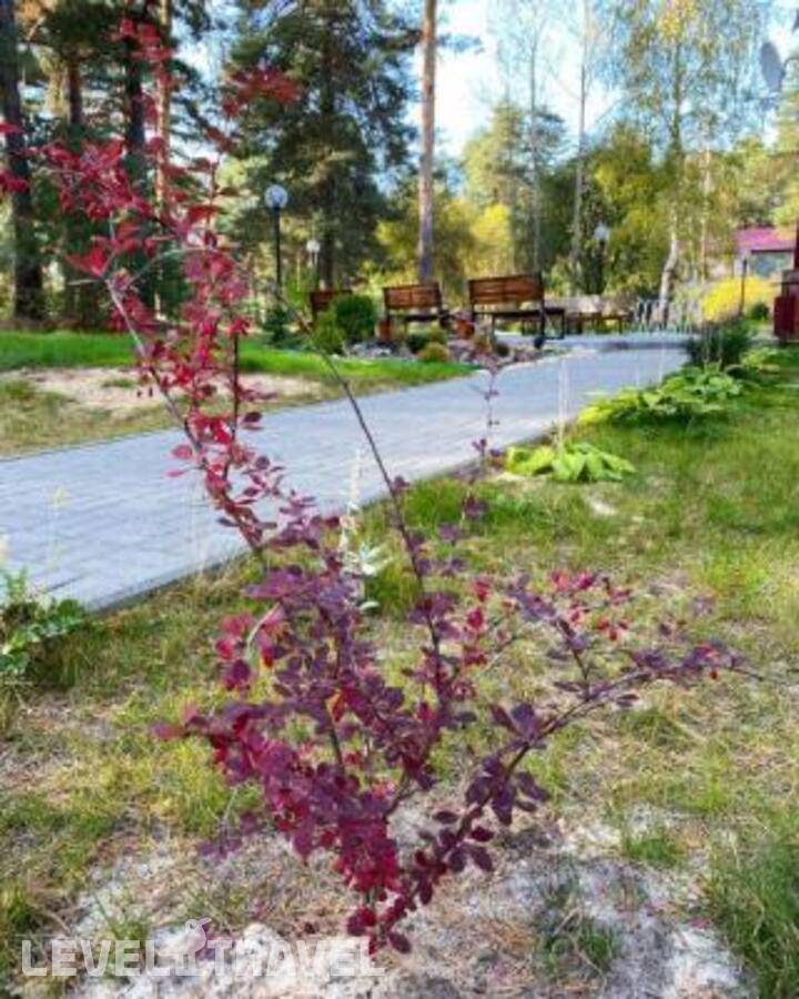 Изображение отеля 17