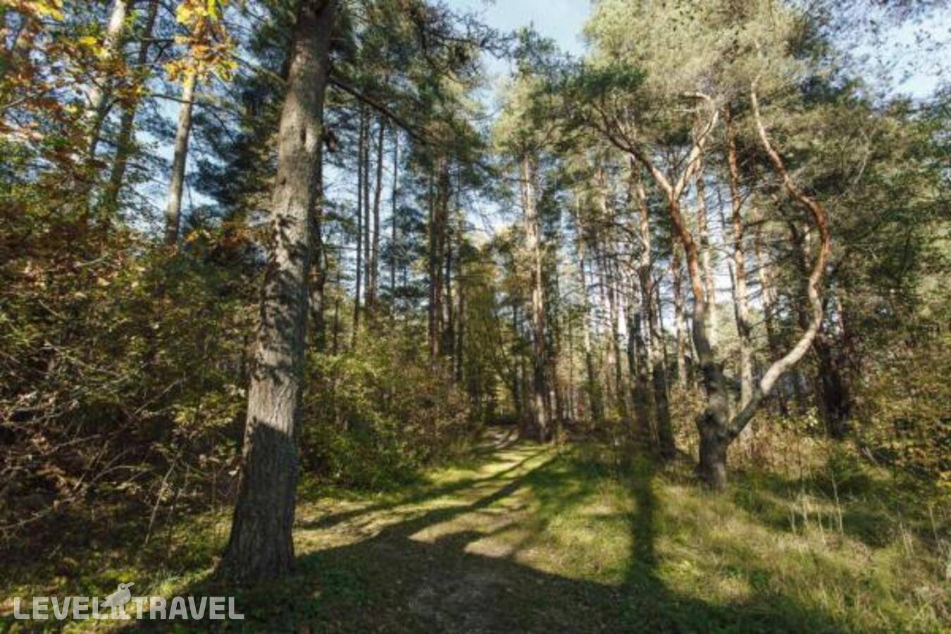 фотографии отеля Княжья речка в Россия(Изворотень) - фото №14