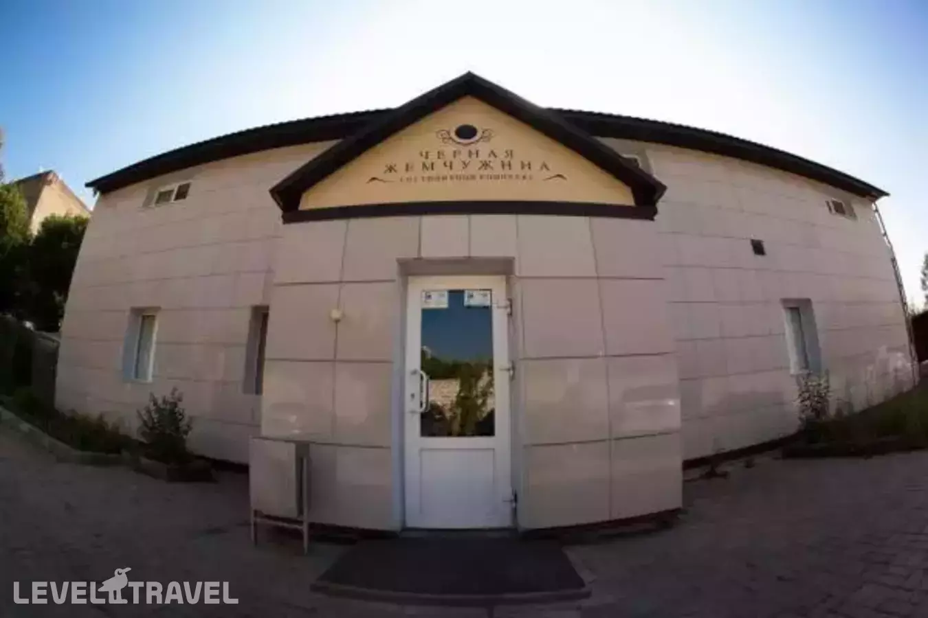 Черная жемчужина