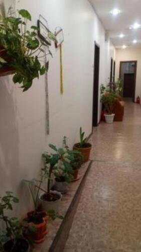 Созвездие Плюс