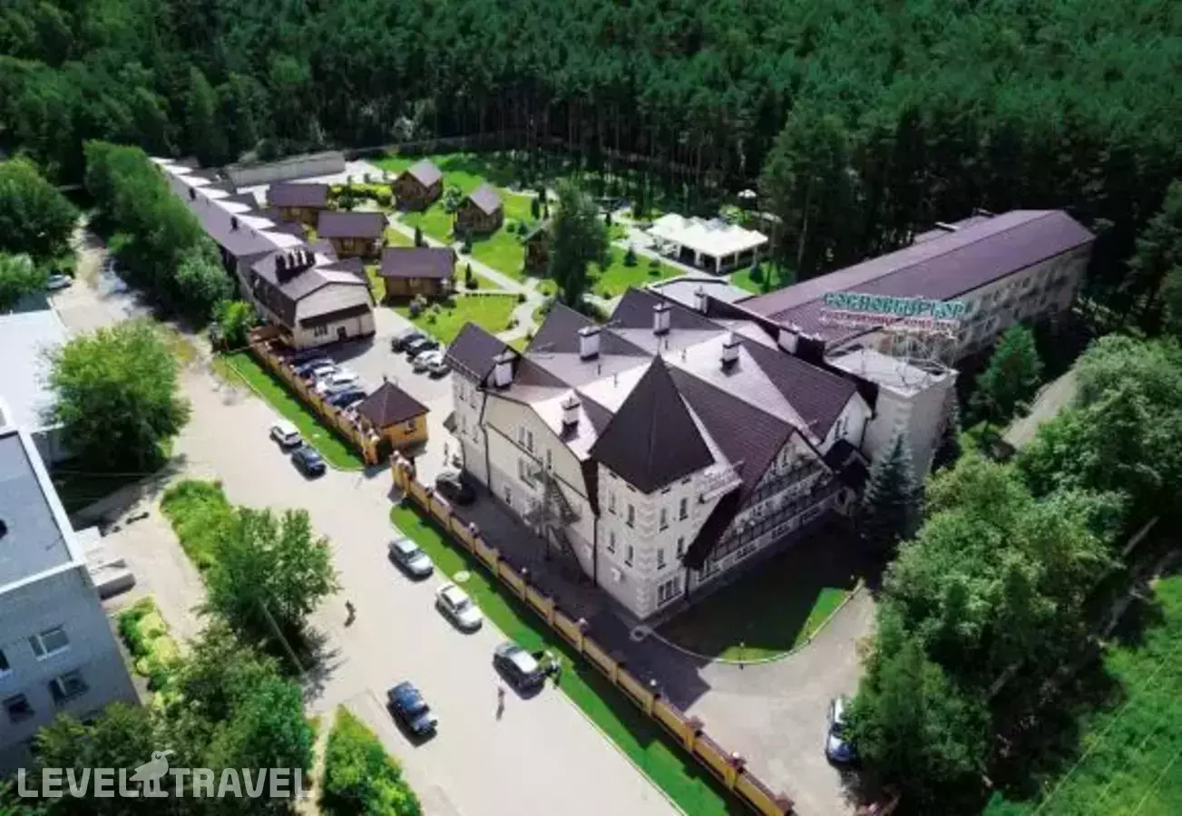 Сосновый бор