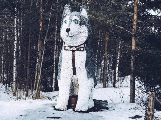 ГД Хаски Моа