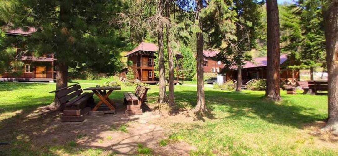 Усадьба в горах Телецкое Озеро