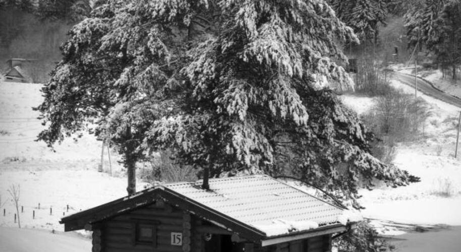 Загородный клуб Ламберг