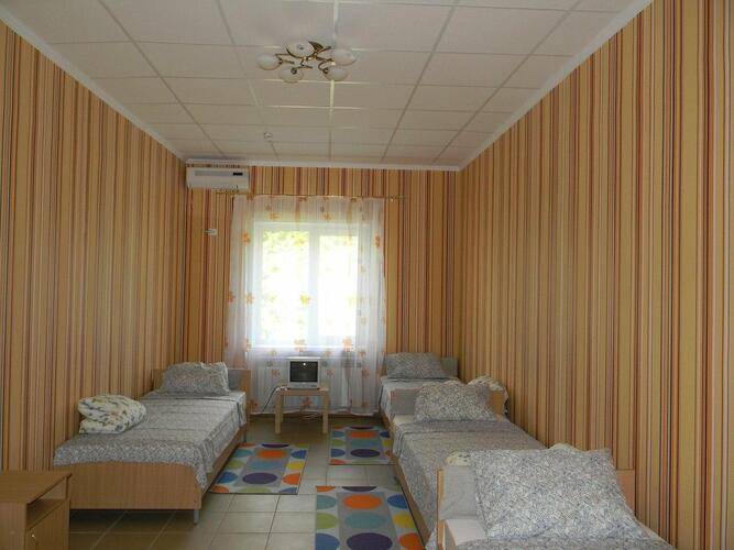 Фламинго