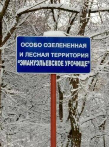 Динамо