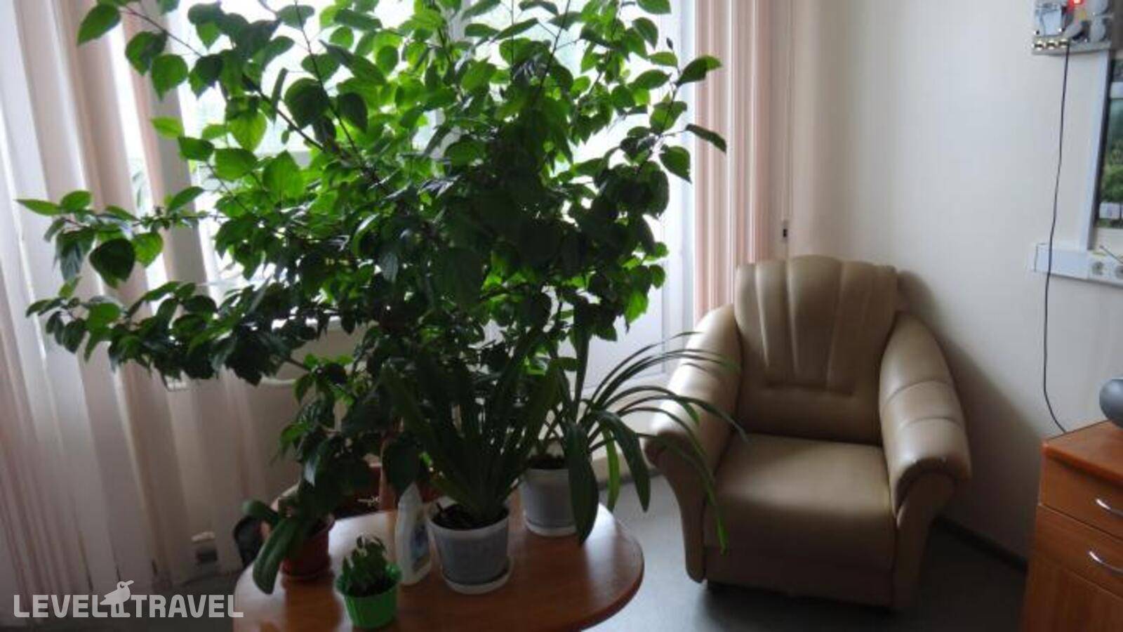 Изображение отеля 3