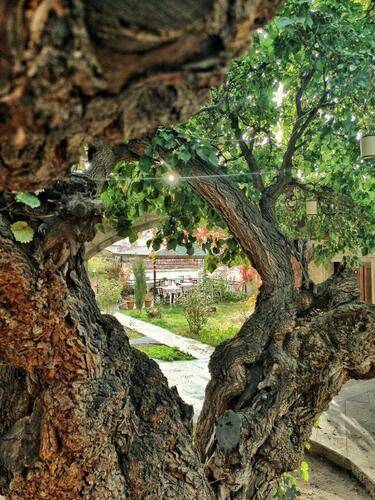 Dervish Cave House
