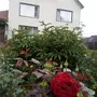 КамчатДар