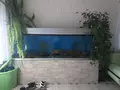 КамчатДар