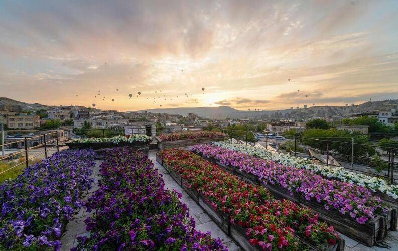 Design Cappadocia Hotel