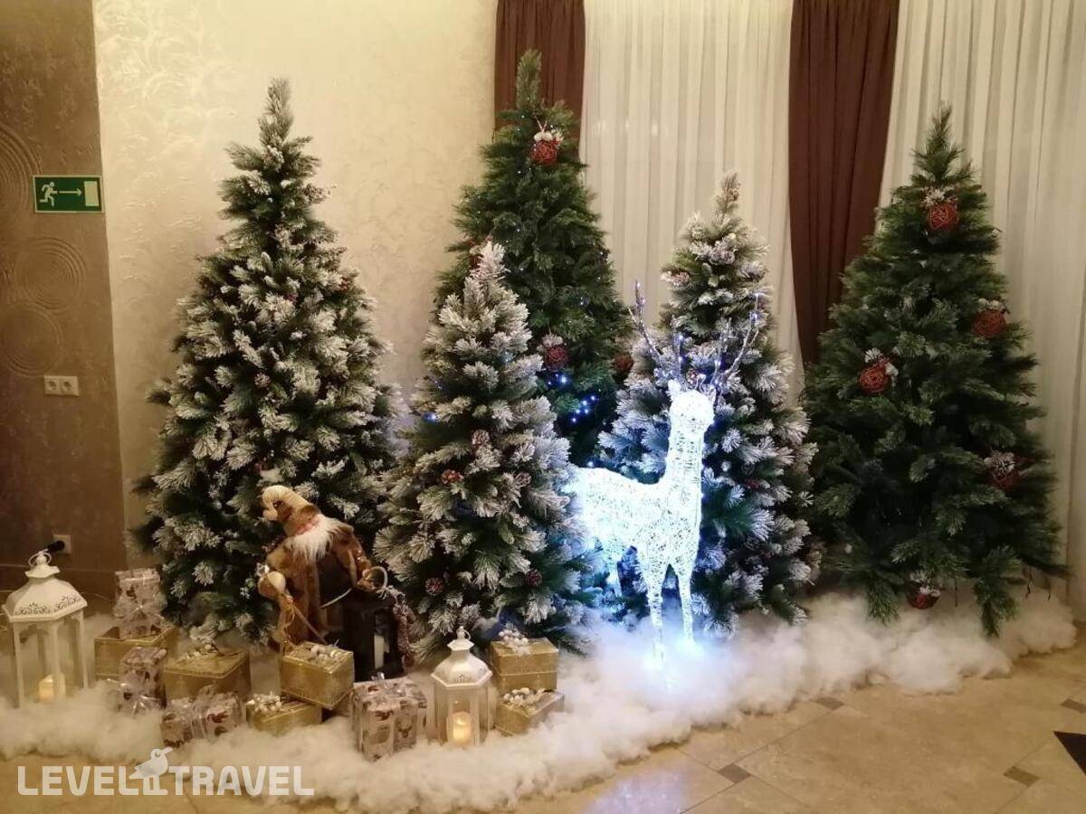 Изображение отеля 23