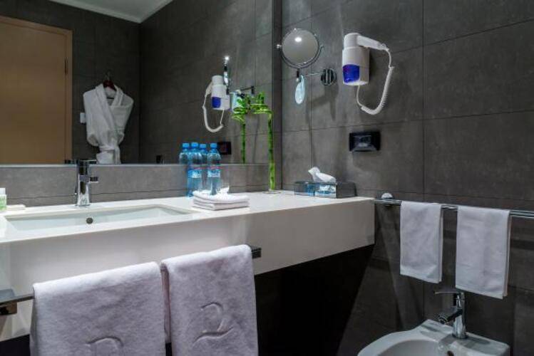 Domina Hotel Novosibirsk (Домина Новосибирск)