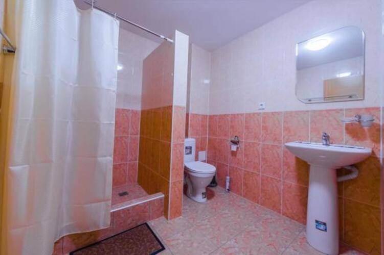 Altay Gold (Алтай Голд)