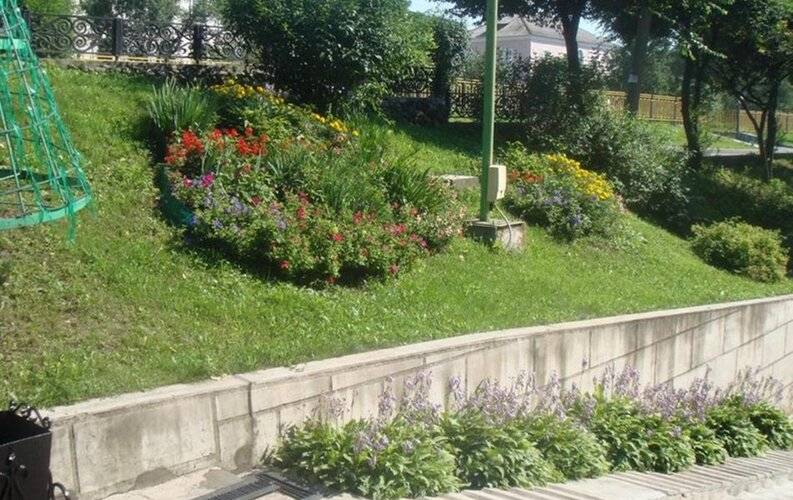 Графская усадьба