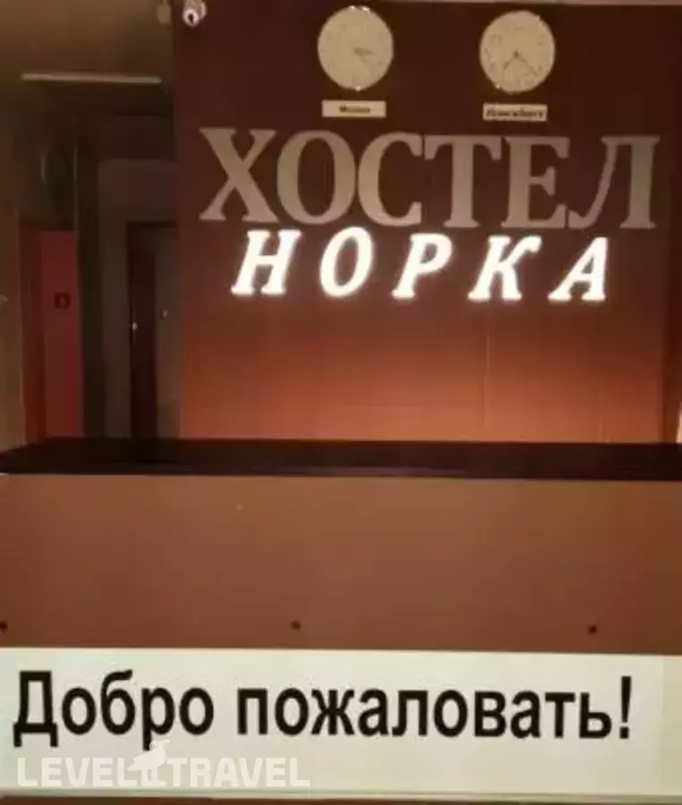 Норка
