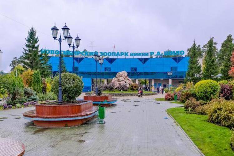 В гости на улице Челюскинцев 14/1