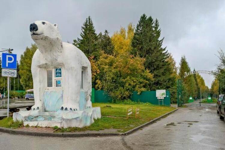В гости на улице Челюскинцев 14/1