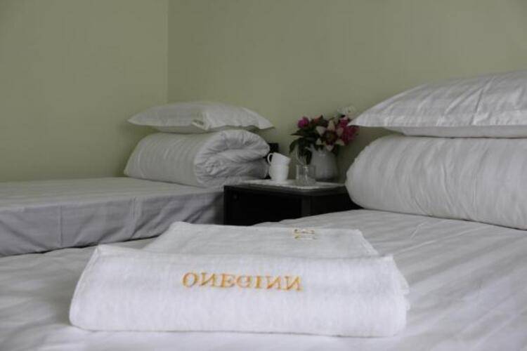 Онегинн