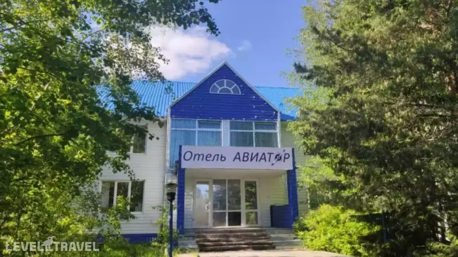 Авиатор