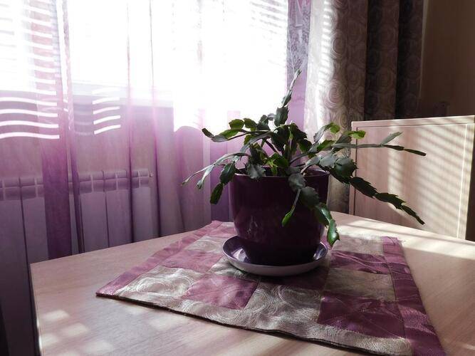 Респект