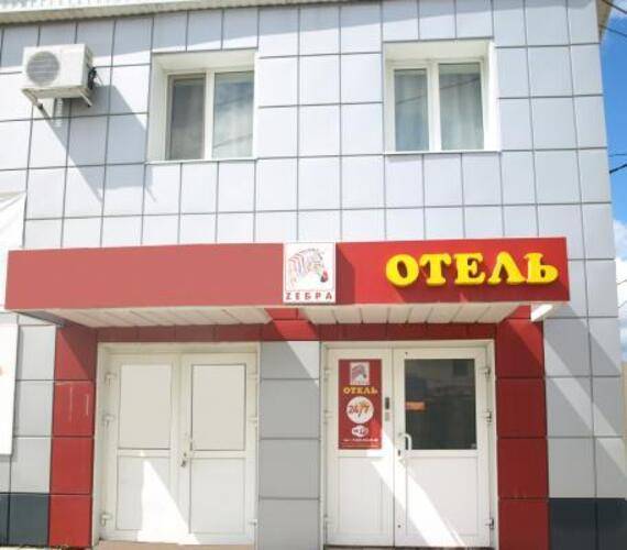Зебра