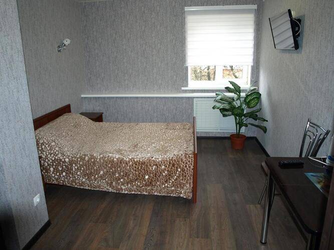 Зебра