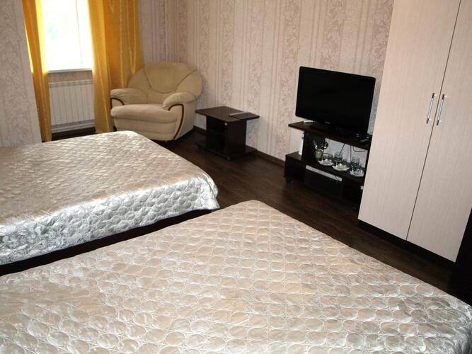 Зебра