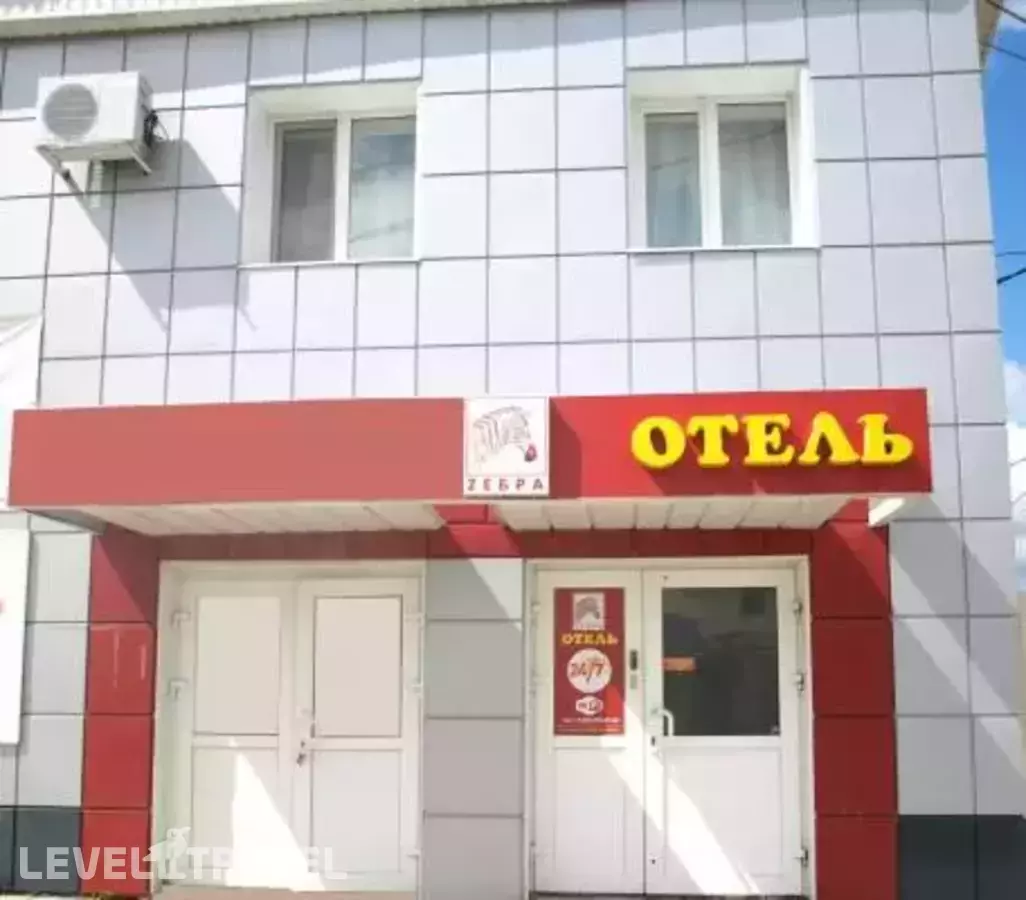 Зебра
