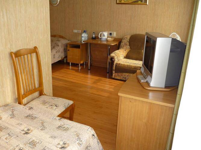 Спутник