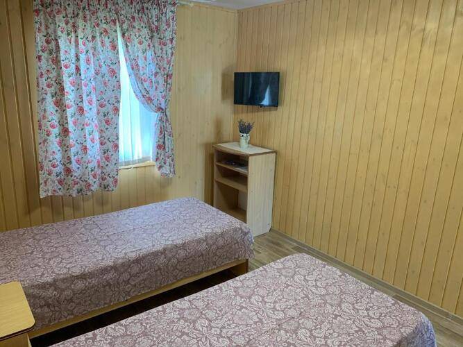 Дельфин