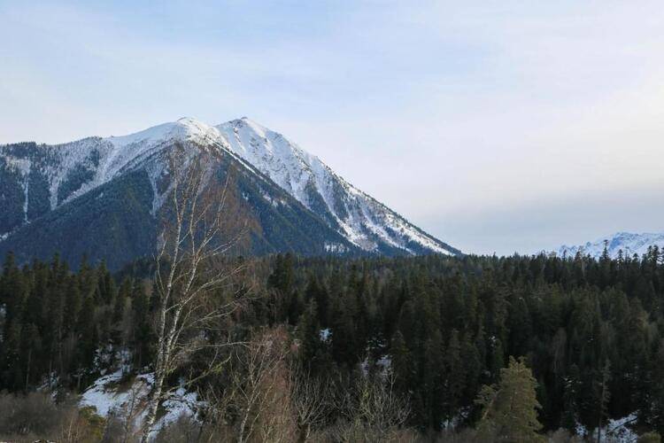 Shaudan (Шаудан)