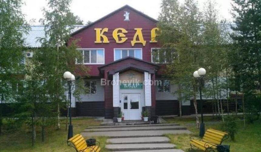 Кедр