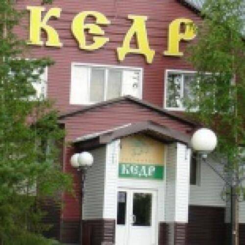 Кедр