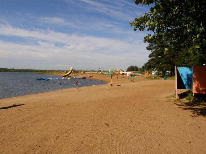 Сосновая