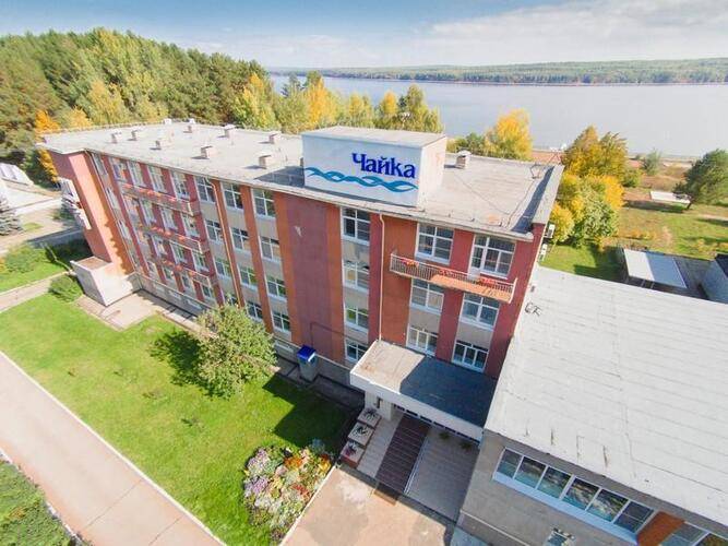 Чайка