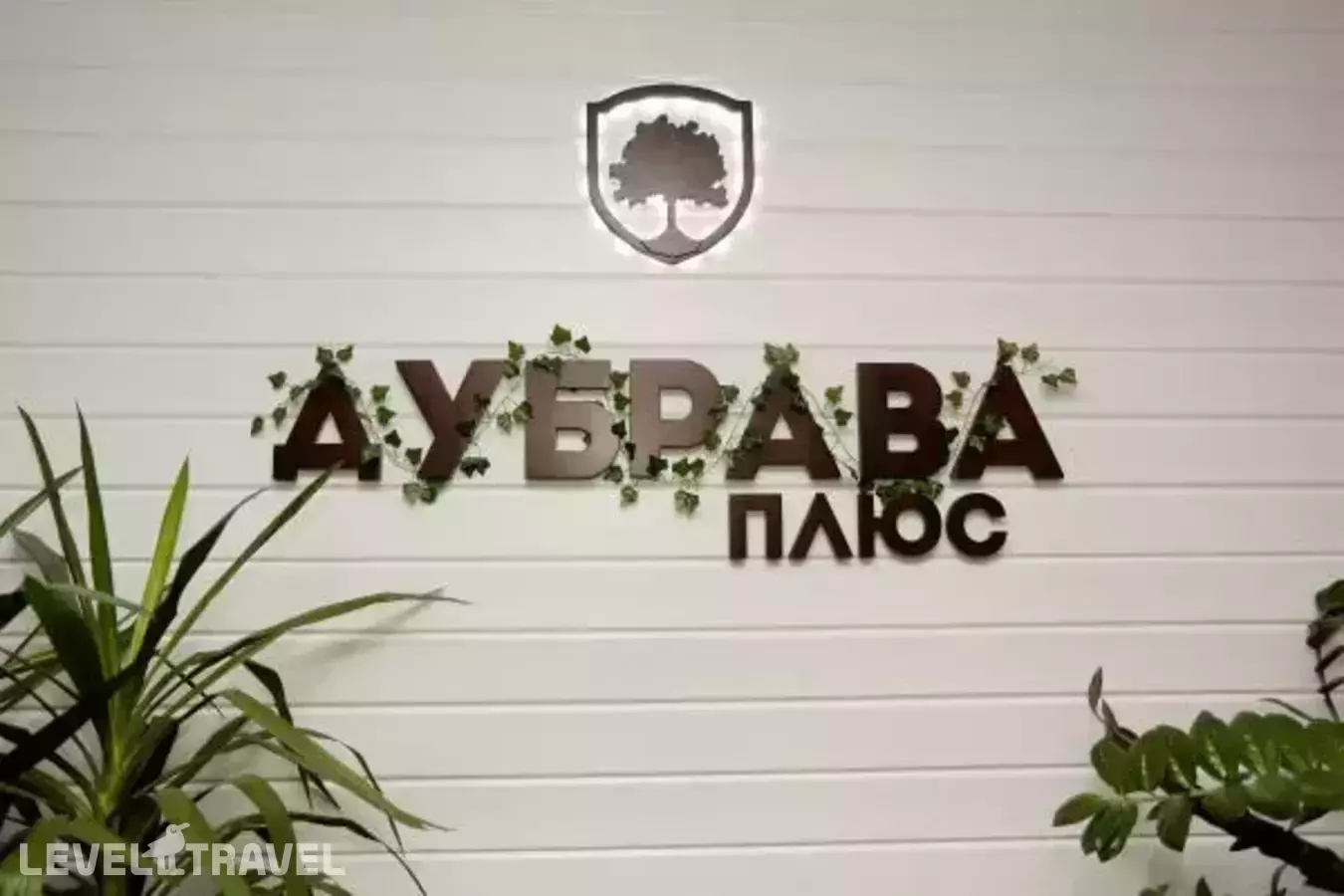 Дубрава Плюс