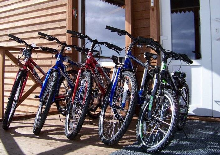 Лесной Вегарус