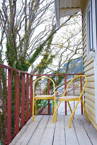 Морская звезда