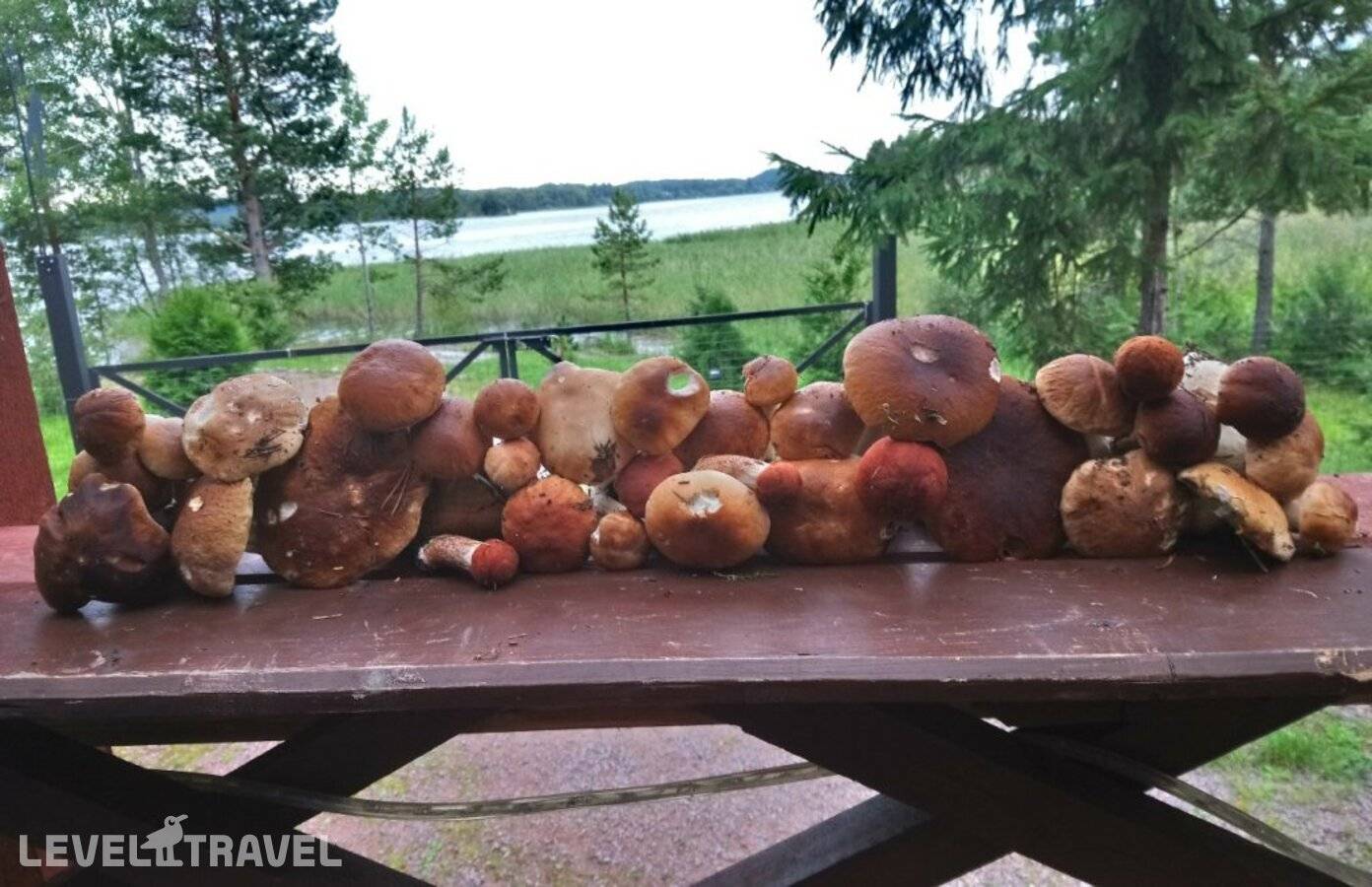 Изображение отеля 11
