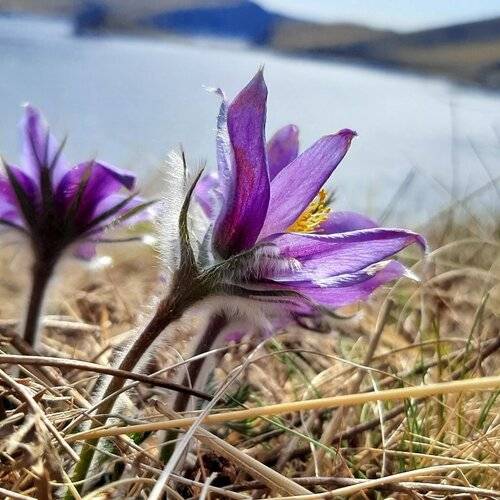 Панорама