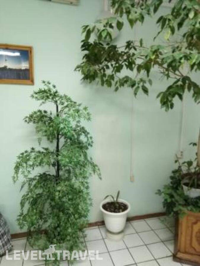 Изображение отеля 6