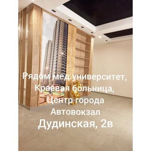 Апартаменты Дудинская 2Б