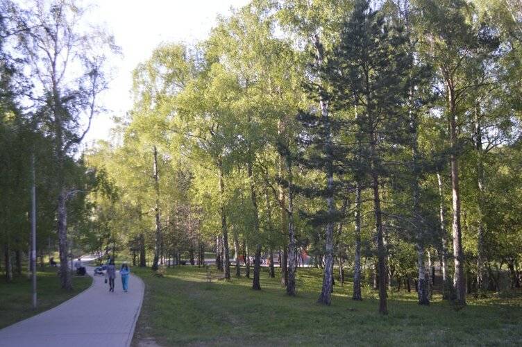 Хостел Брусника