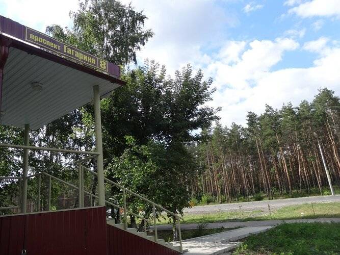 Мини-Отель Золотая Рыбка
