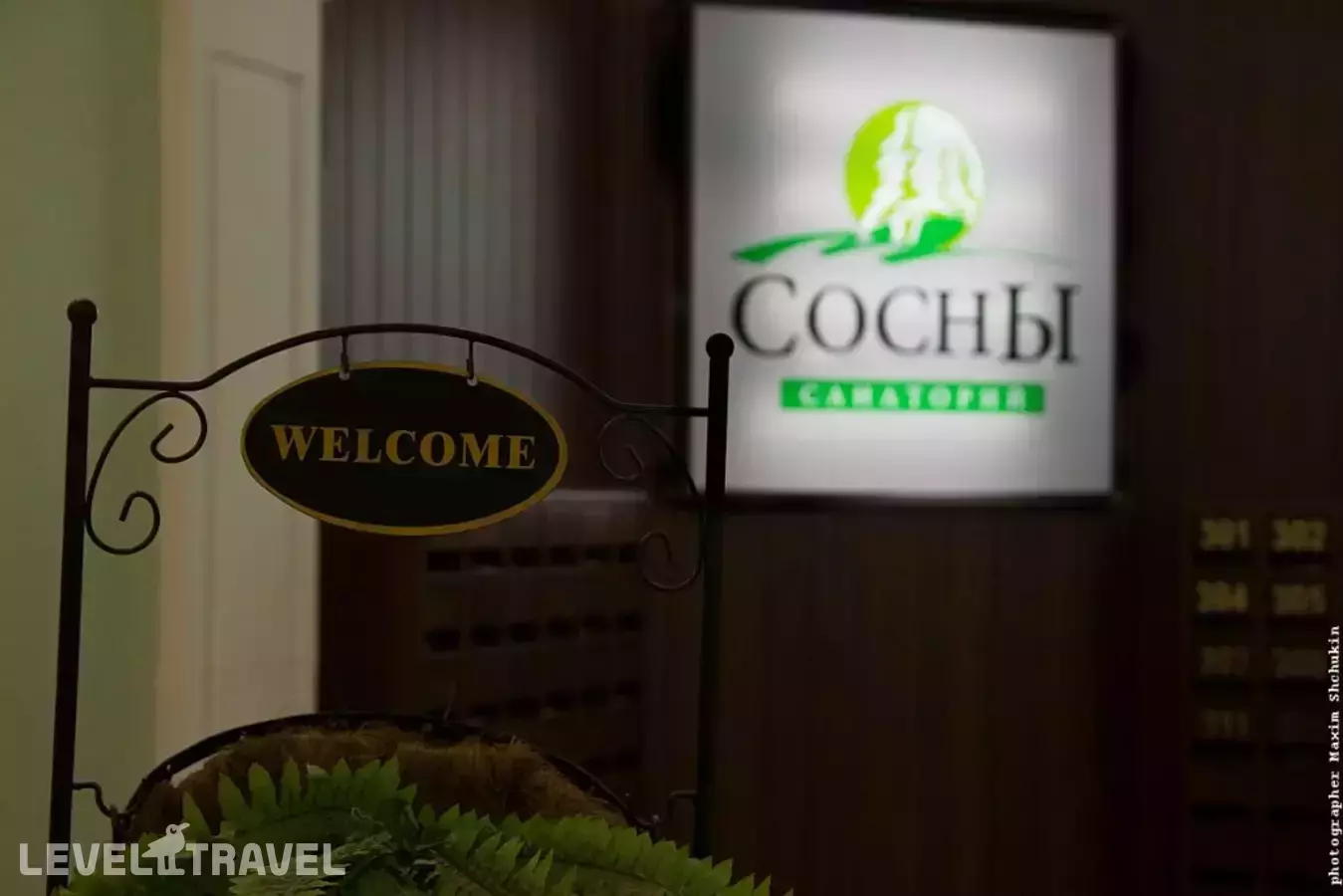 Санаторий Сосны