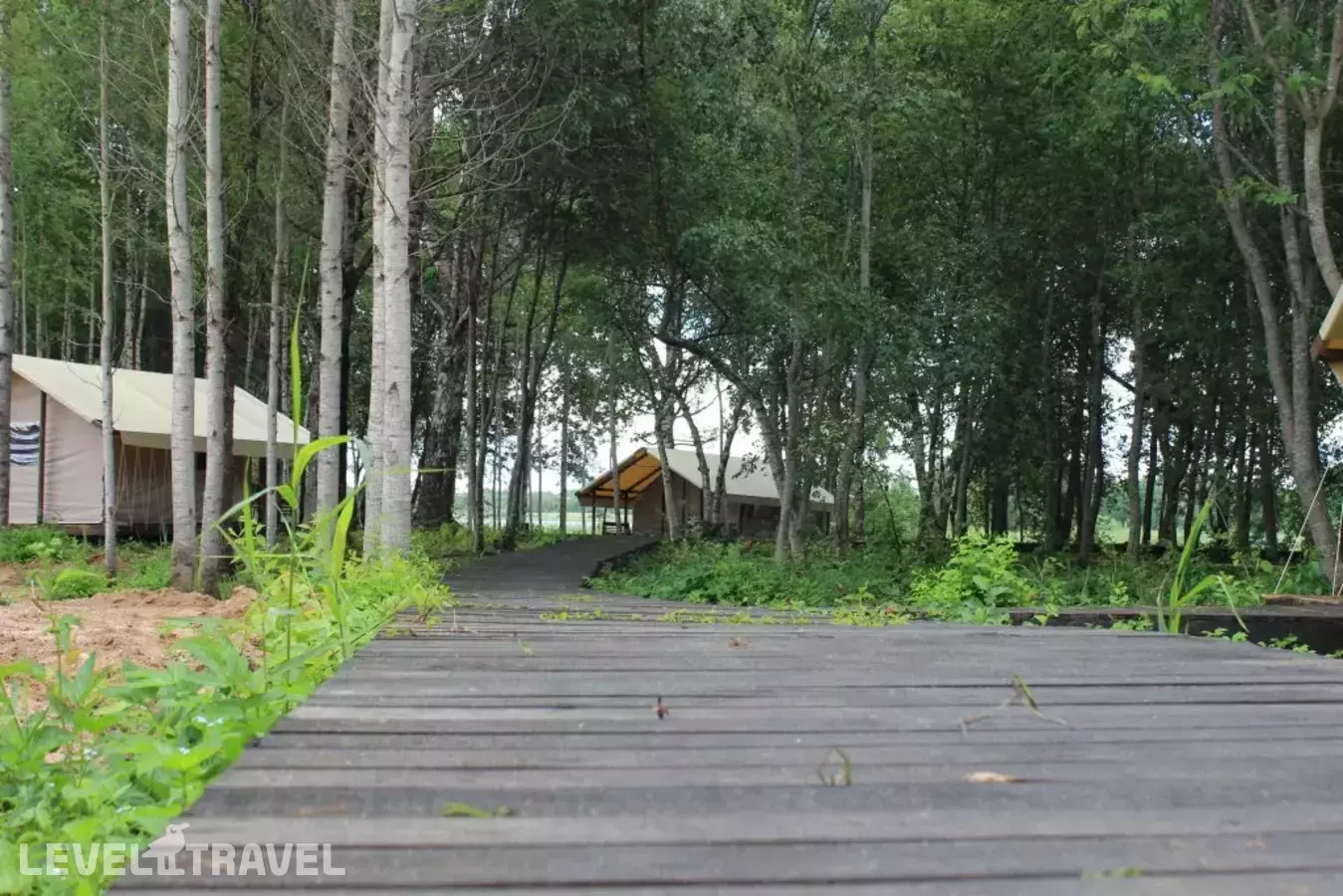 Глэмпинг Свобода