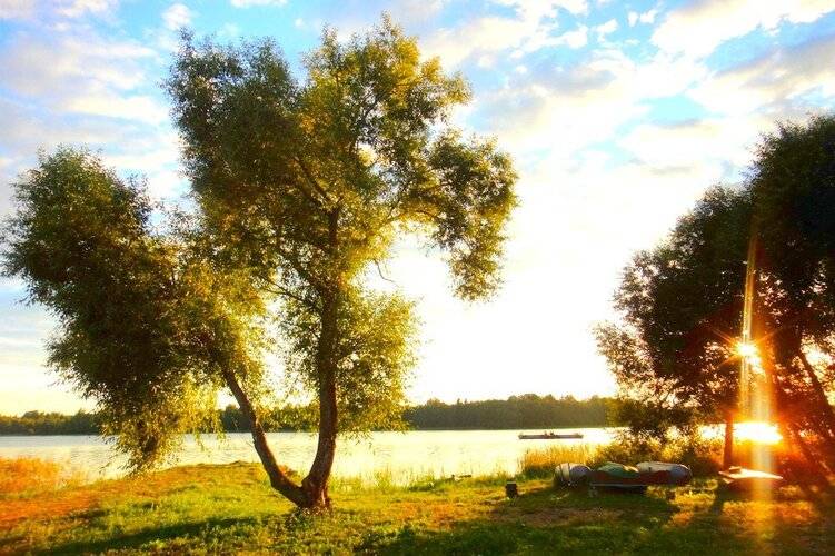 Кемпинг Веснеболог