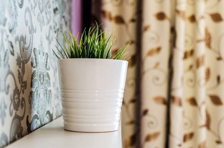 Апартаменты Pskov City Apartments Mikhailovskaia 1