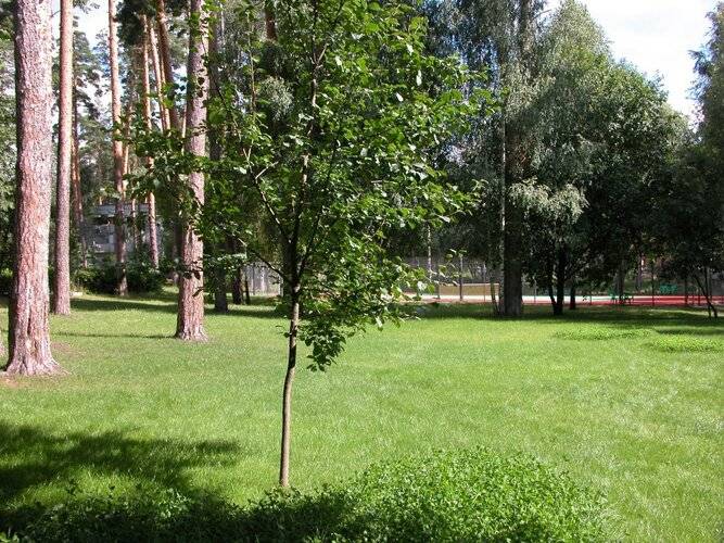 Загородный Гостиничный Комплекс Серебряный Бор